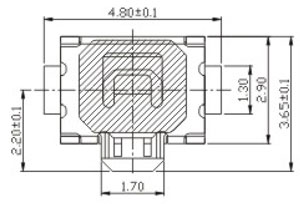 Switch RTP/RPTM Structure Diagram